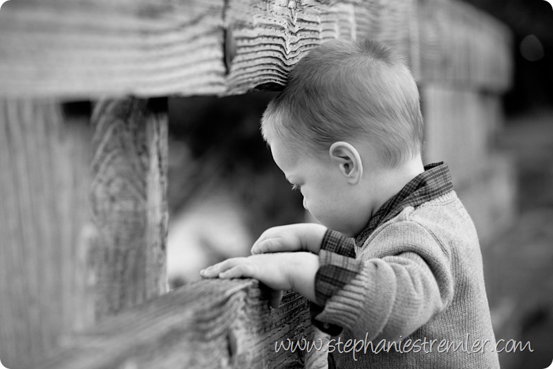 BellinghamFamilyPhotographer11-21-09Mikey-103