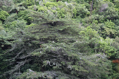 Kraori Bird Sanctuary