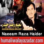 http://www.humaliwalayazadar.com/2017/10/naeeam-raza-haider-nohay-2018.html