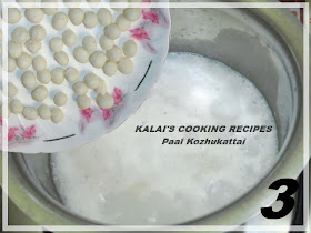 Chettinad Thengai Paal Kozhukattai | செட்டிநாடு தேங்காய் பால் கொழுக்கட்டை | Coconut Milk Rice Flour Balls Kozhukattai