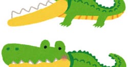 かわいい動物画像 50 かわいい 保育 ワニ イラスト かわいい動物画像 50 かわいい 保育 ワニ イラスト