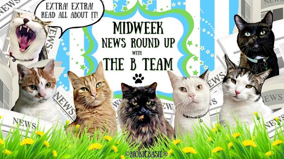 The BBHQ Midweek News Round-Up Spring Banner ©BionicBasil®