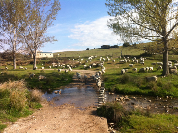 Ruta en bici de Madrid a Colmenar Viejo, mayo 2012