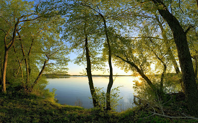 Paisajes naturales VII (Más allá de los verdes prados)