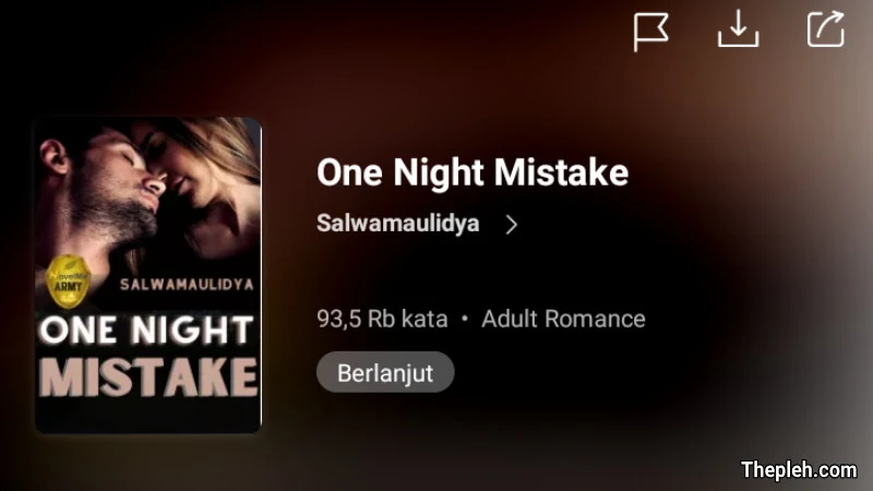Novel One Night Mistake Full Episode