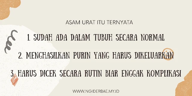 fakta asam urat