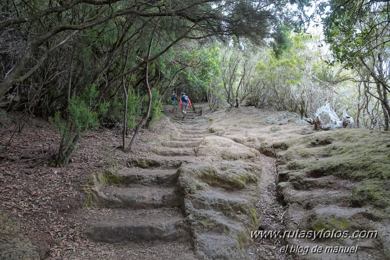 Sendero de los Sentidos - Sendero de los Enigmas