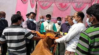 पं. दीनदयाल उपाध्याय पशु आरोग्य मेले में साढ़े चार सौ पशुओं का किया गया उपचार | #NayaSaberaNetwork