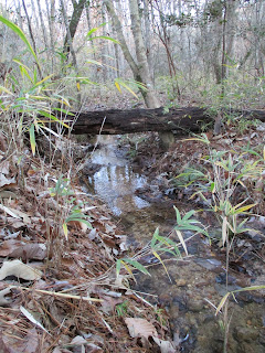 Go Outside and Enjoy the Day at Raven Rock State Park © Katrena