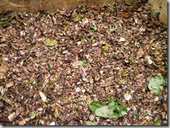 A layer of greens added to the leaves