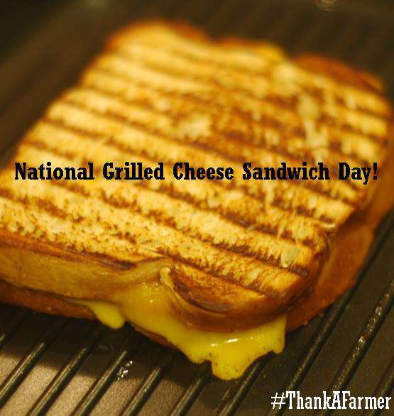 National Grilled Cheese Sandwich Day Wishes Pics