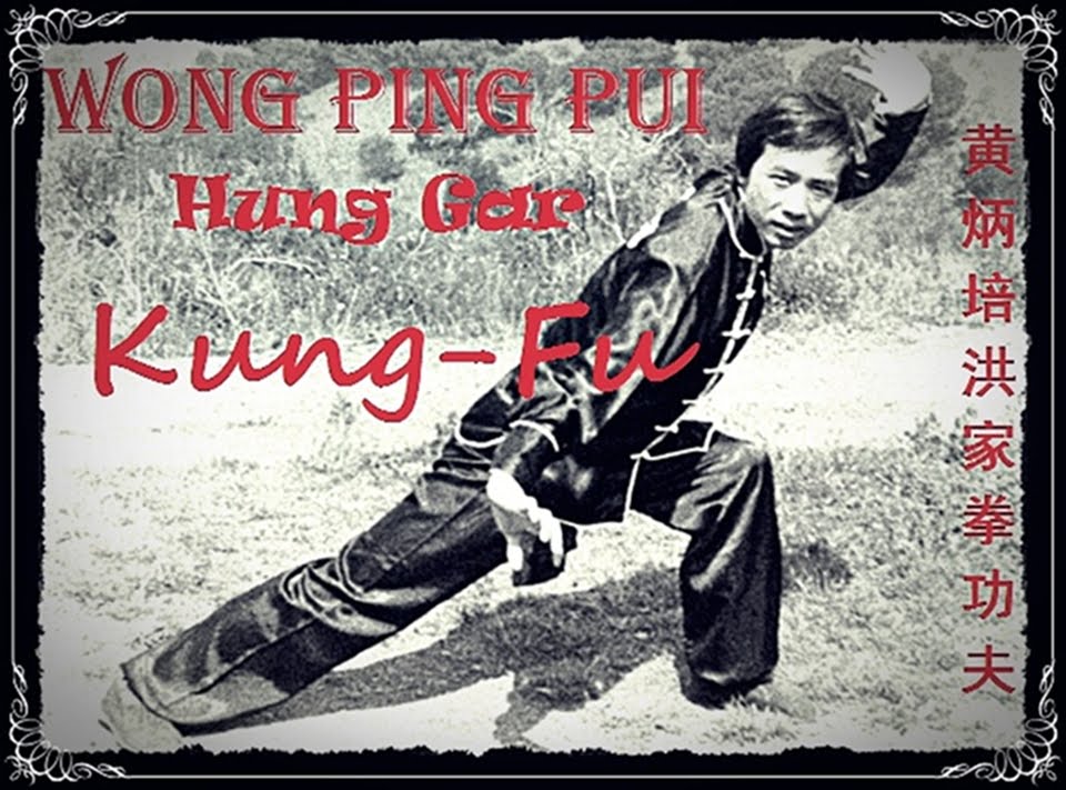 Resultado de imagen de maestro wong ping pui