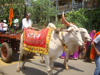 Gudi padwa 2011