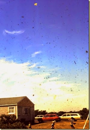 cape-kite