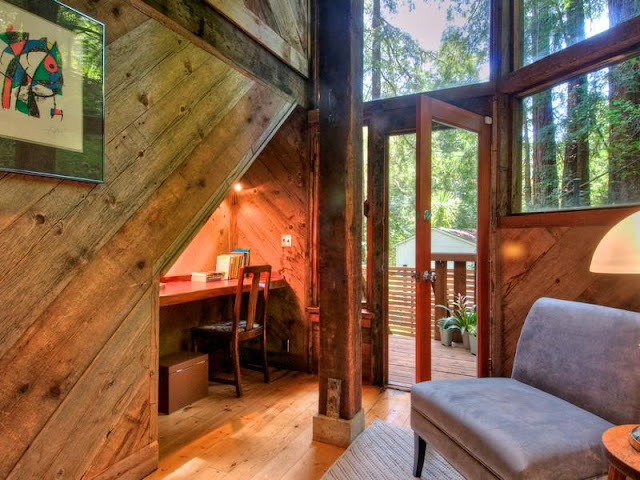 Photo of working room inside of tree house in the forest