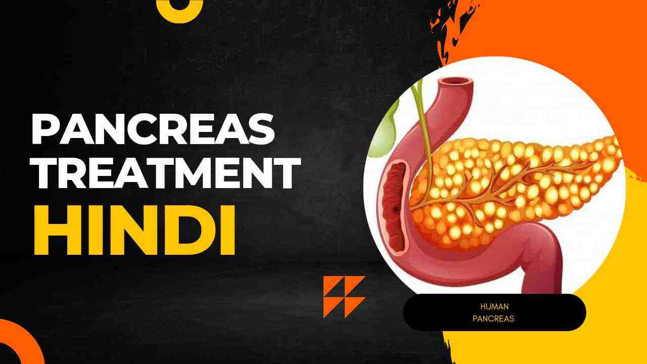 Pancreas in Hindi | पैंक्रियास रोग ठीक करने के उपाय |