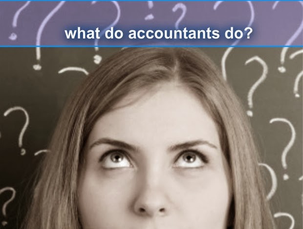 what do accountants do