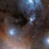 The Rho Ophiuchi star formation region