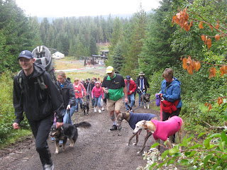 Walkers with their dogs on the trail at the Dog Day event