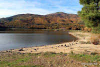 ROZAS DE PUERTO REAL - RUTA DE LOS CASTAÑOS. Madrid, España