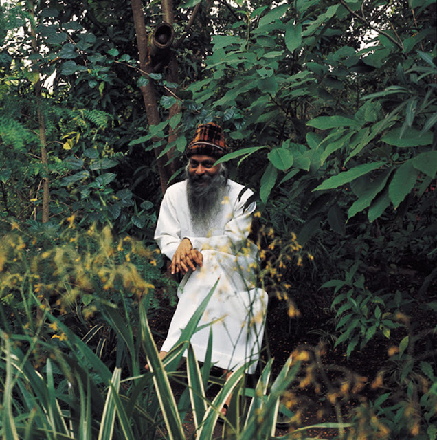 Beautiful photos of osho part-53