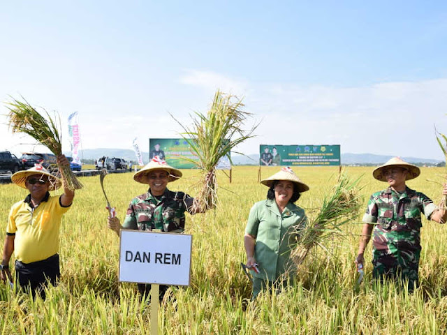 Korem Binaiya dan Pemkab Buru Gelar Panen Raya di Wanareja