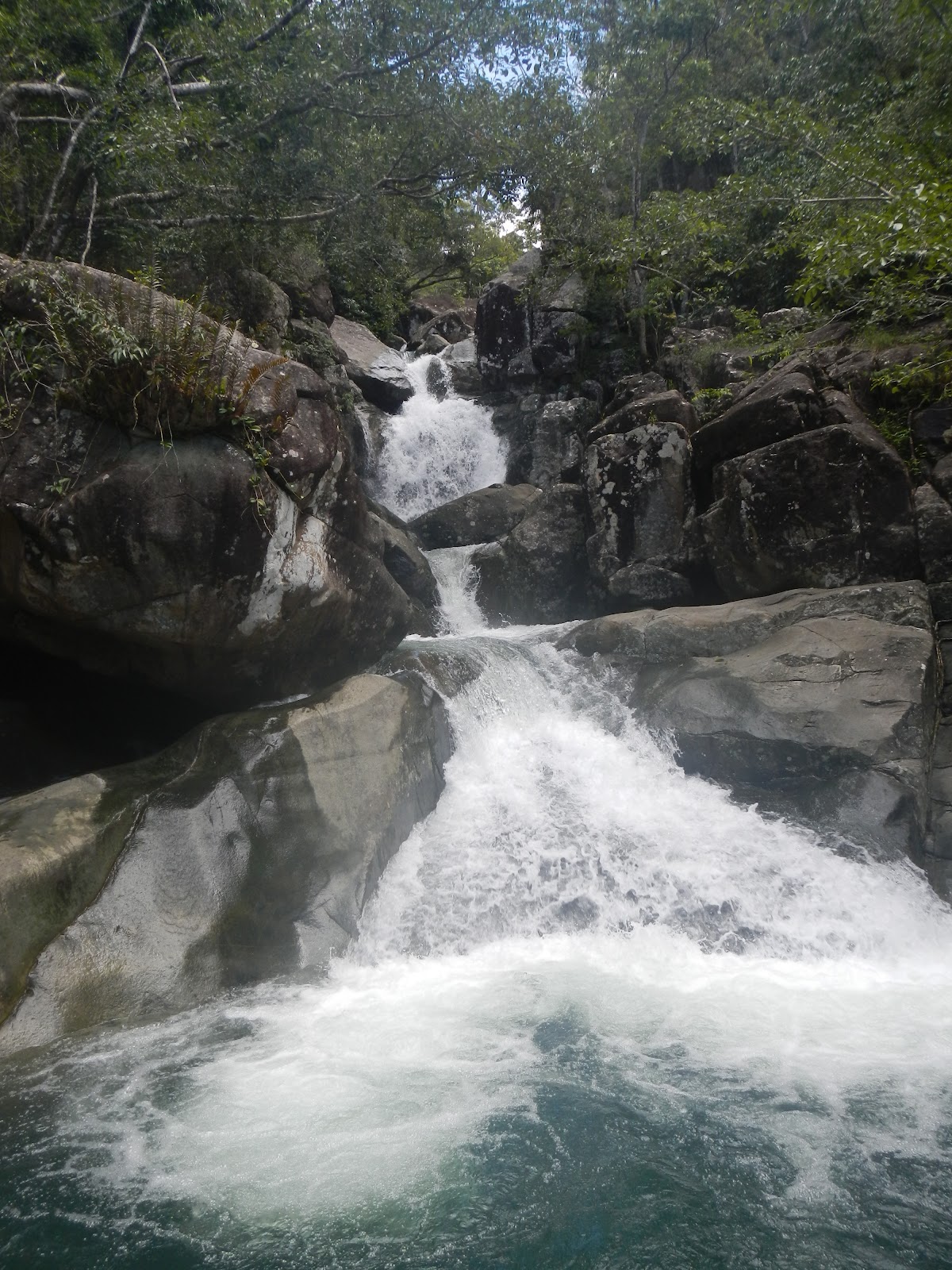 Australia - A working holiday: Townsville & Paluma range national park