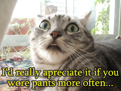 This funny looking stunned cat wishes for you to wear pants more often ...