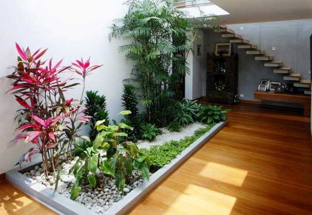 33+ taman minimalis dalam rumah (indoor) ukuran kecil 