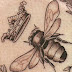 The Tattooed Poets Project: Rebecca Loudon's Bee Tattoo