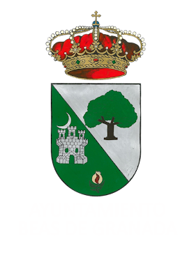 organizador