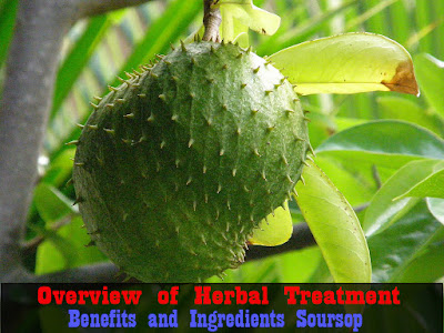 Overview of Herbal Treatment | Benefits and Ingredients Soursop