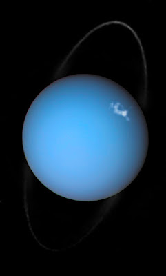 Auroras on Uranus