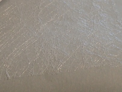 P4220302