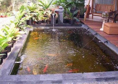  Terasa lengkap rasanya kalau rumah hunian kita mempunyai sebuah bak ikan minimalis sehing 15 Model Terbaru Desain Kolam Ikan Minimalis