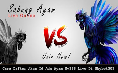 Agen Online Judi Adu Ayam Live Streaming Sv388 (sv288) Teraman