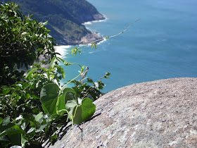 Barra de Guaratiba