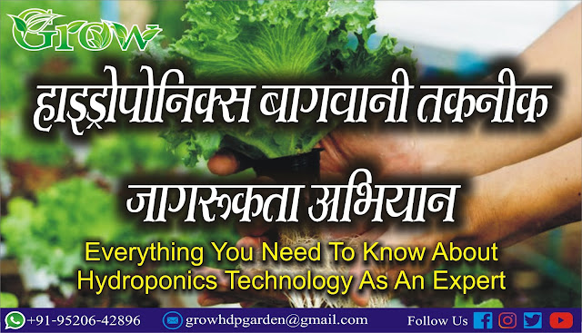 हाइड्रोपोनिक्स, Hydroponics