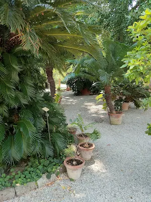 Orto Botanico Comunale di Luccaの園内風景