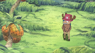 ワンピース アニメ 空島 スカイピア 168話 チョッパー Tony Tony Chopper | ONE PIECE Episode 168 Skypiea