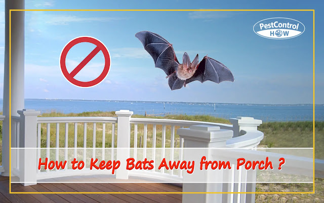 how-to-keep-bats-away-from-porch