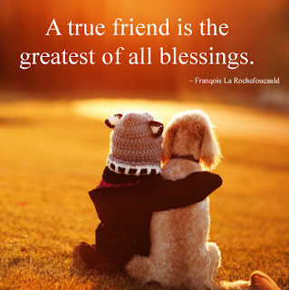 650+ friendship images download free for whatsapp with quotes