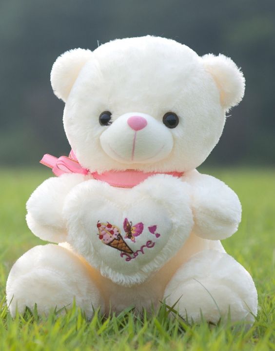 Sweet White Color Teddy Bear Photo