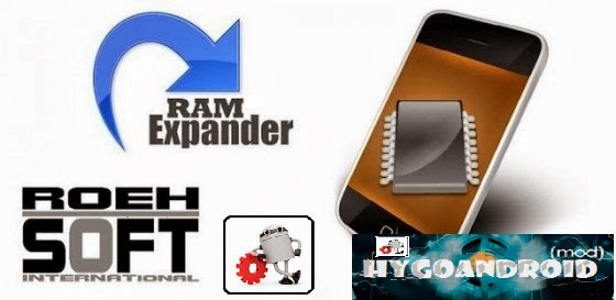 ROEHSOFT RAM Expander (SWAP) v2.14 Patched 