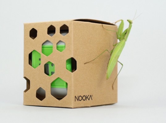 Box Packaging Design