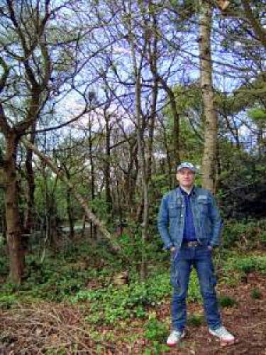 Seeking Trolls On Cannock Chase