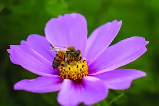 67ad1c082d567.webp