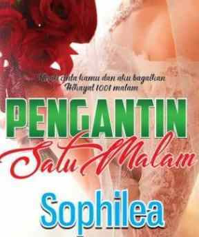 Novel Pengantin Satu Malam by Sophilea Full Episode