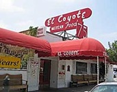 e coyote