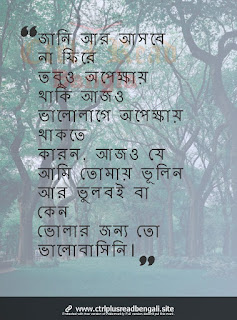 Bengali Sad Sayari